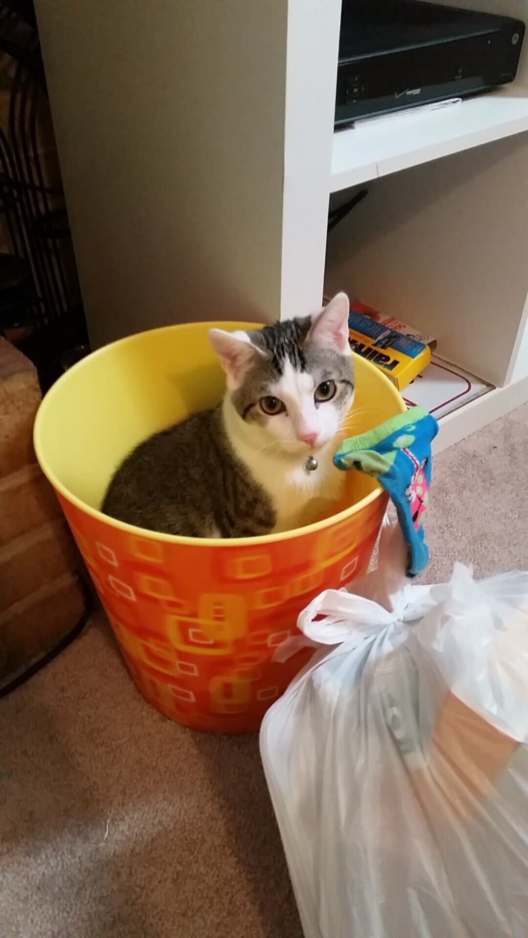 开云体育APP下载-斯图加特中后卫归队，后防线迎来稳固时刻，斯图加特左后卫