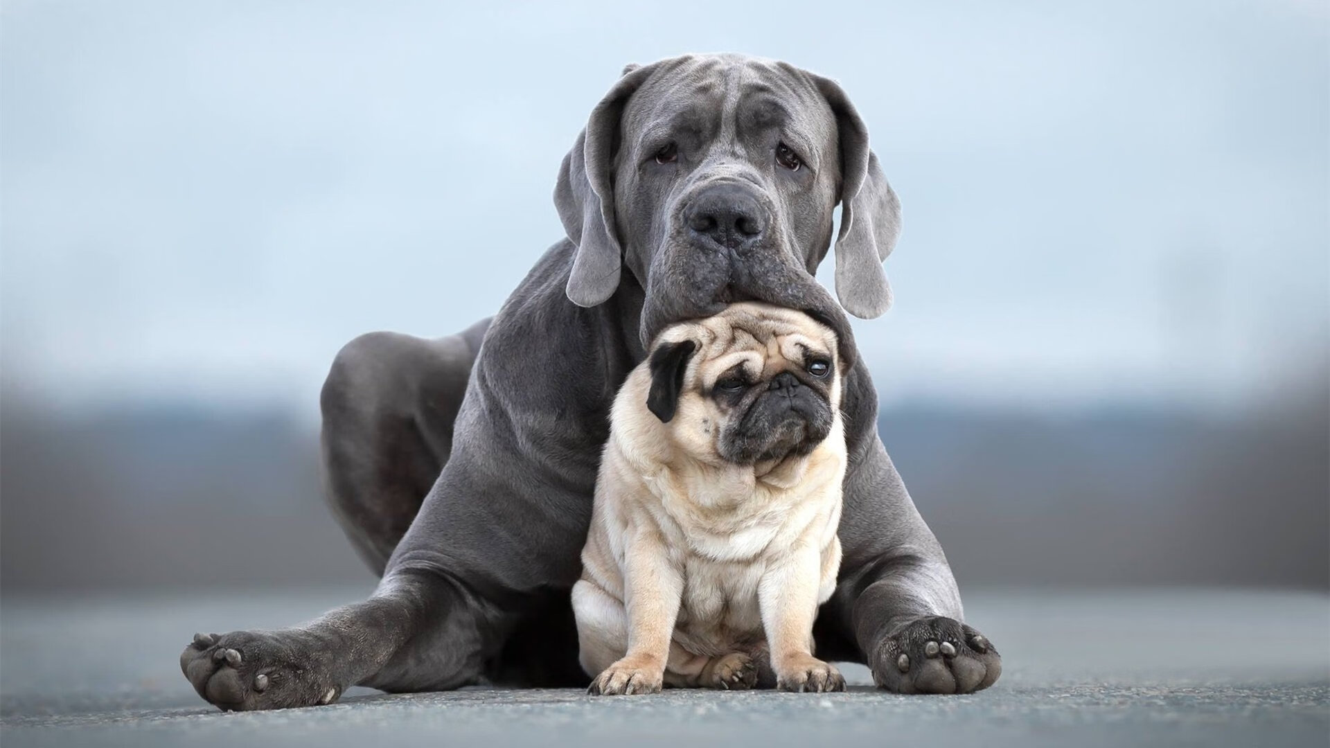 欧冠“金童”新星：初登场就惊艳全场，19年欧洲金童奖