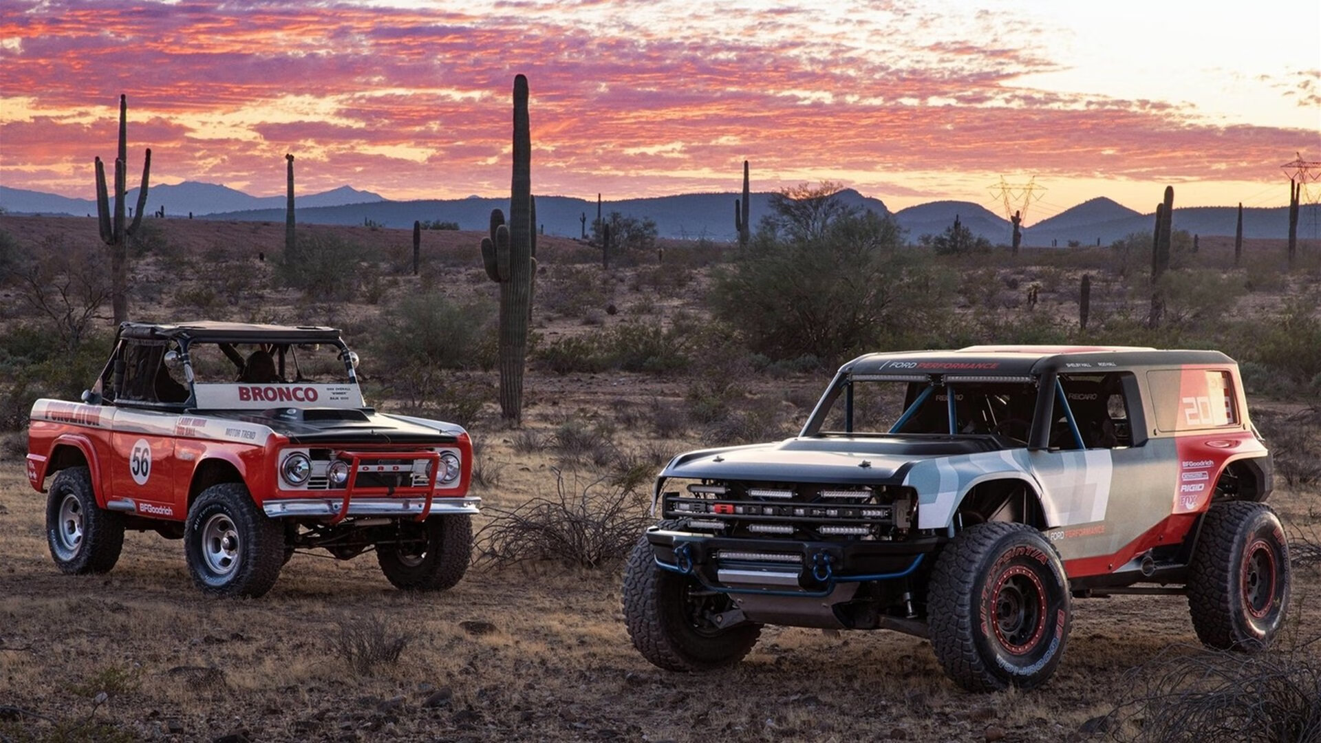 开云网站-雪地+足球+波斯风格？伊朗队成冬奥时尚新星，伊朗支持中国北京冬奥会