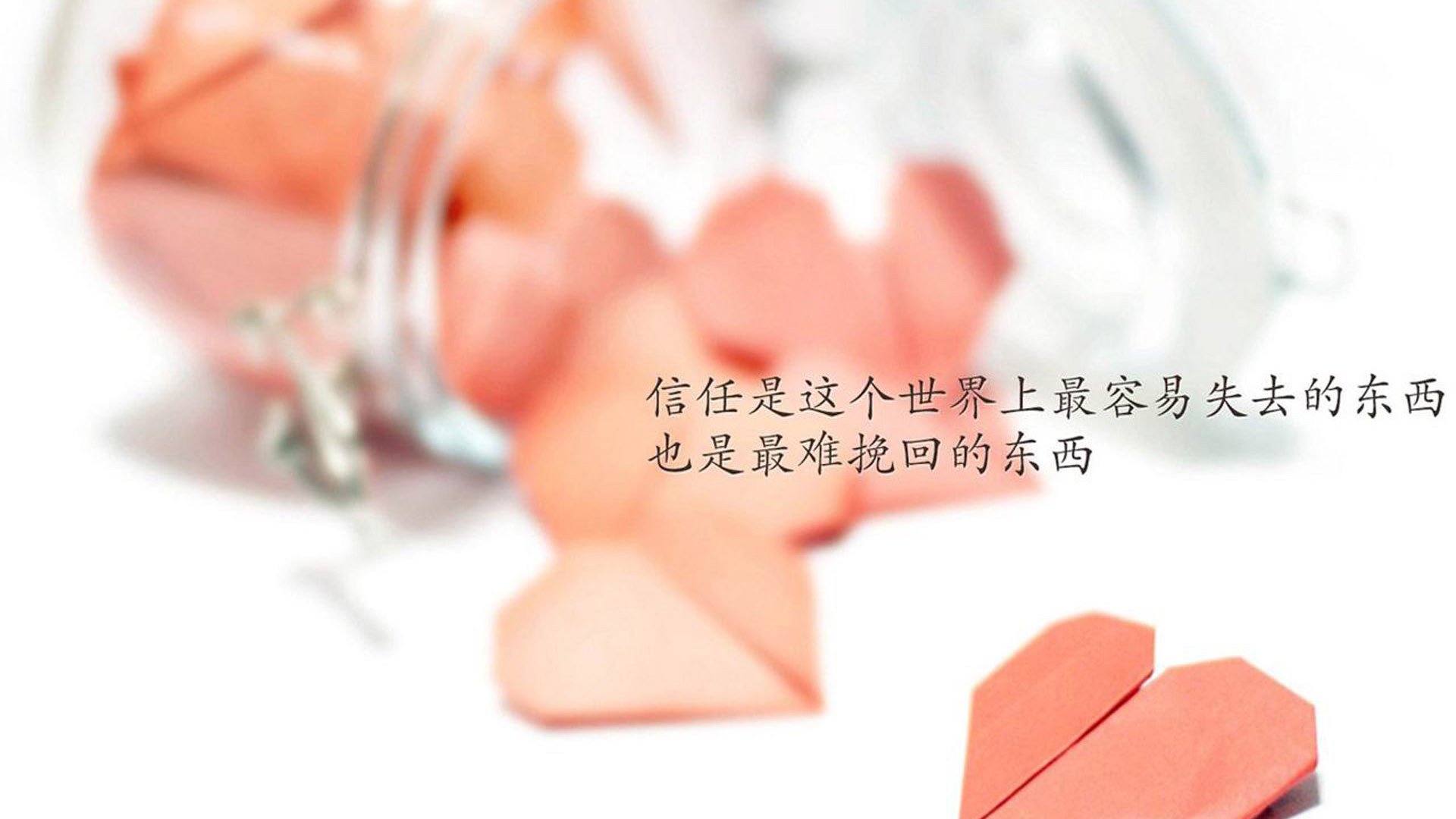 kaiyun开云·官方网站-青年球员成长故事：从草根到联盟新星，优秀年轻球员