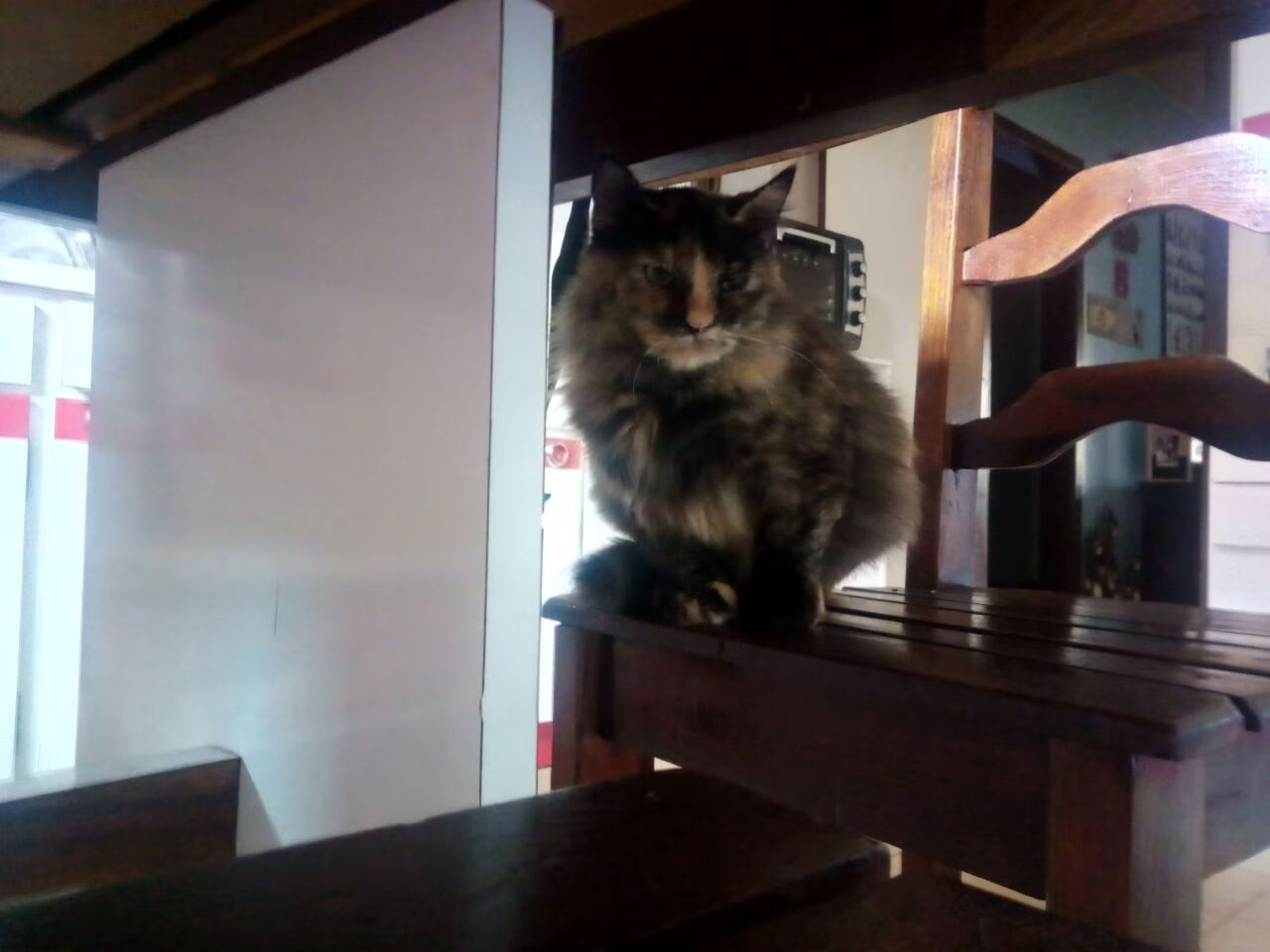 鹈鹕新援打破得分纪录,成为焦点,鹈鹕队新闻