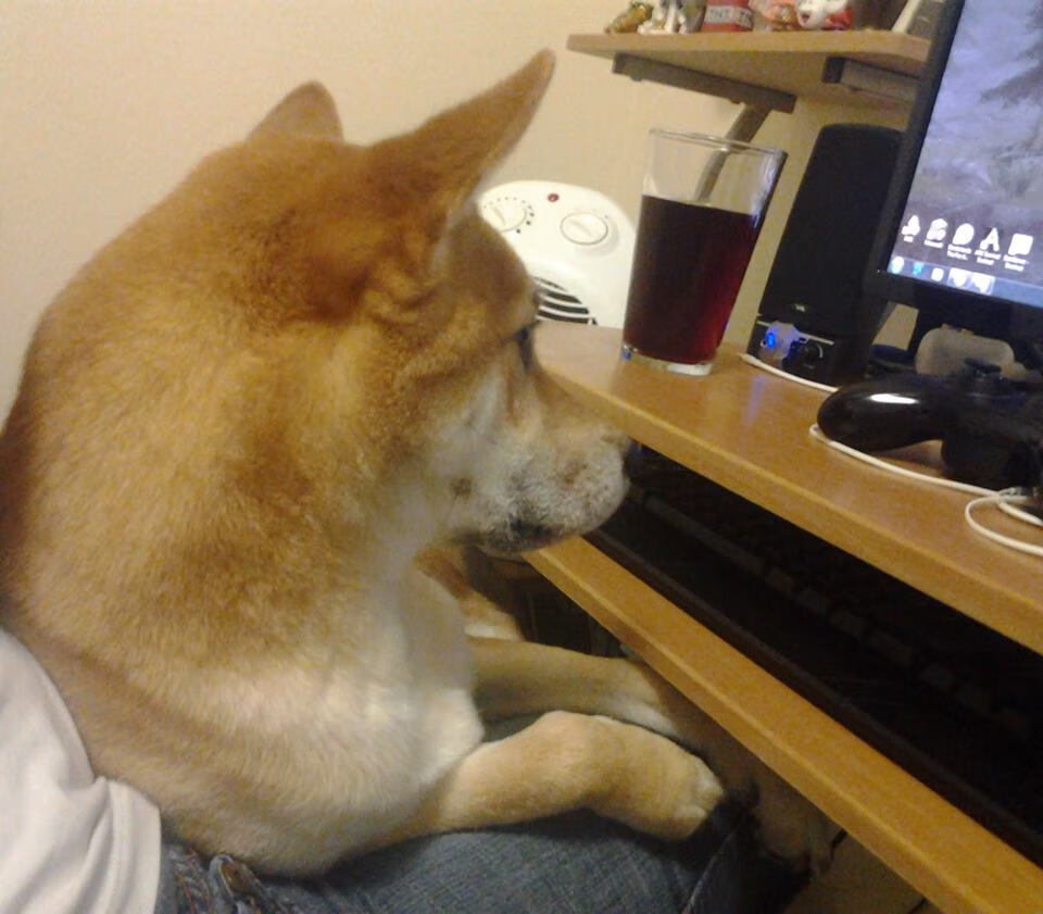 开云·体育官网-主教练多语种能力是否成为豪门标配素养，主教练什么级别