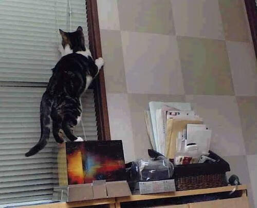 Kaiyun APP-兰斯主场大胜斯特拉斯堡，豪取胜利，兰斯对斯特拉斯堡