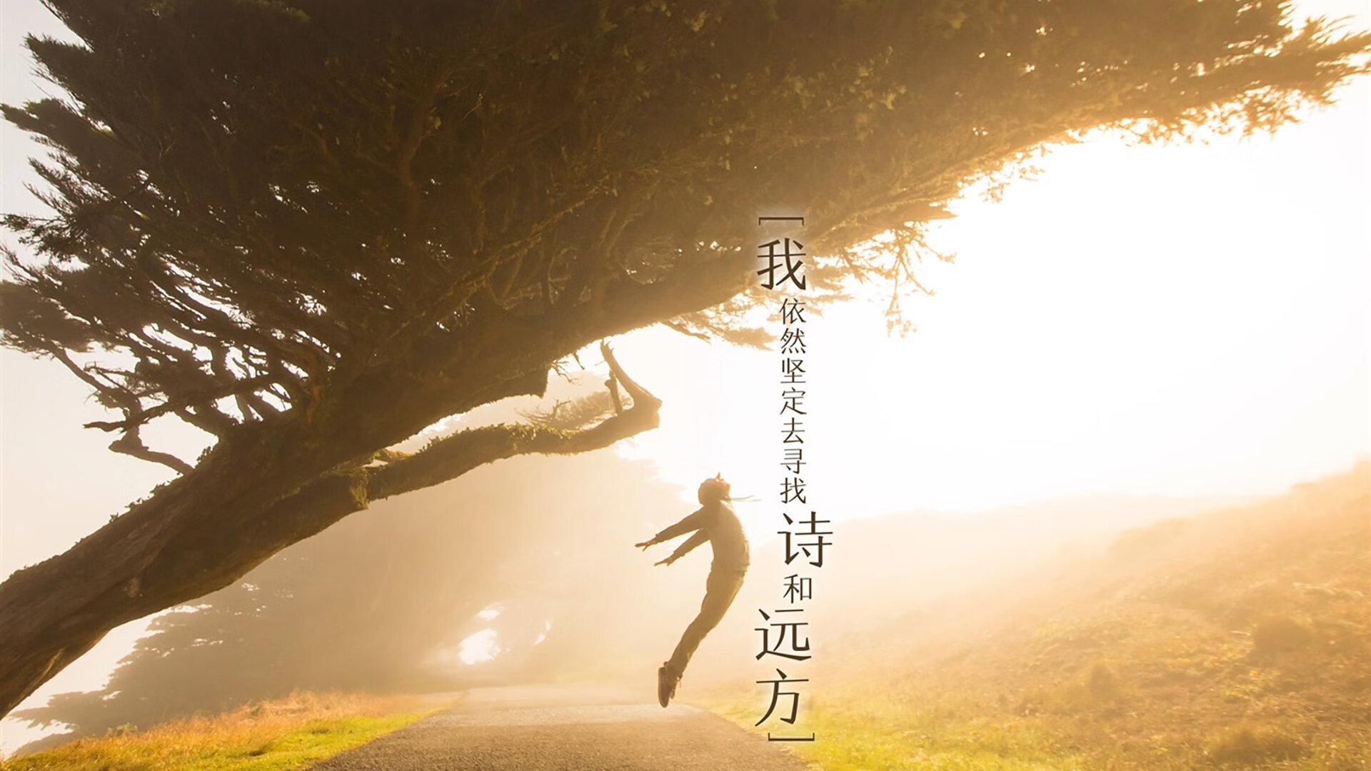 开云中国-北马其顿迎击爱沙尼亚，欧洲国家联赛实力共存，北马其顿足球欧洲排名