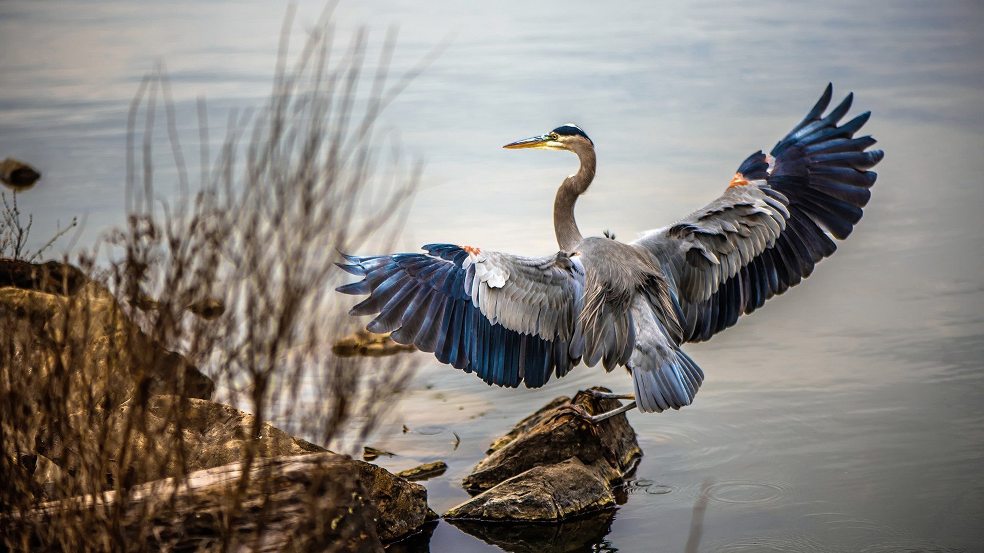 开云网页版-国家队势如破竹，连番胜利助军团冲向夺冠之路，国家队·エロマソガ