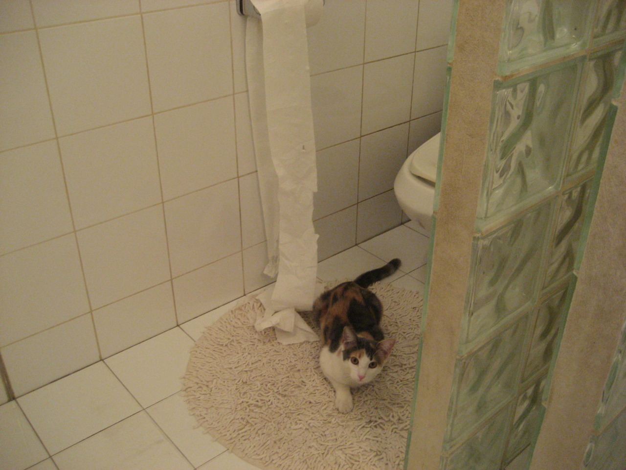 尤文图斯官方宣布引进英格兰天才,尤文图斯新ceo