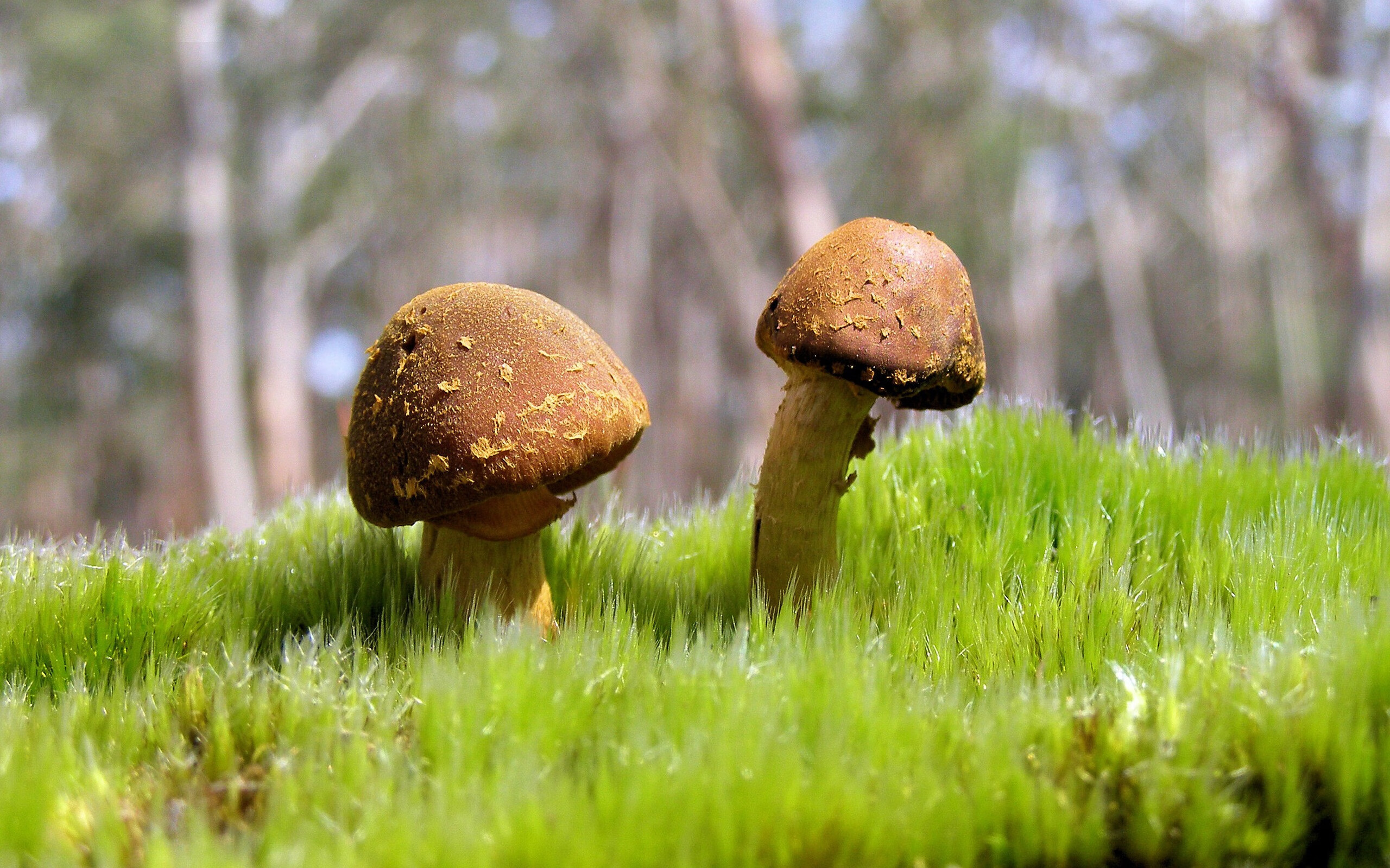 山东泰山防线稳定失球减少，山东泰山对