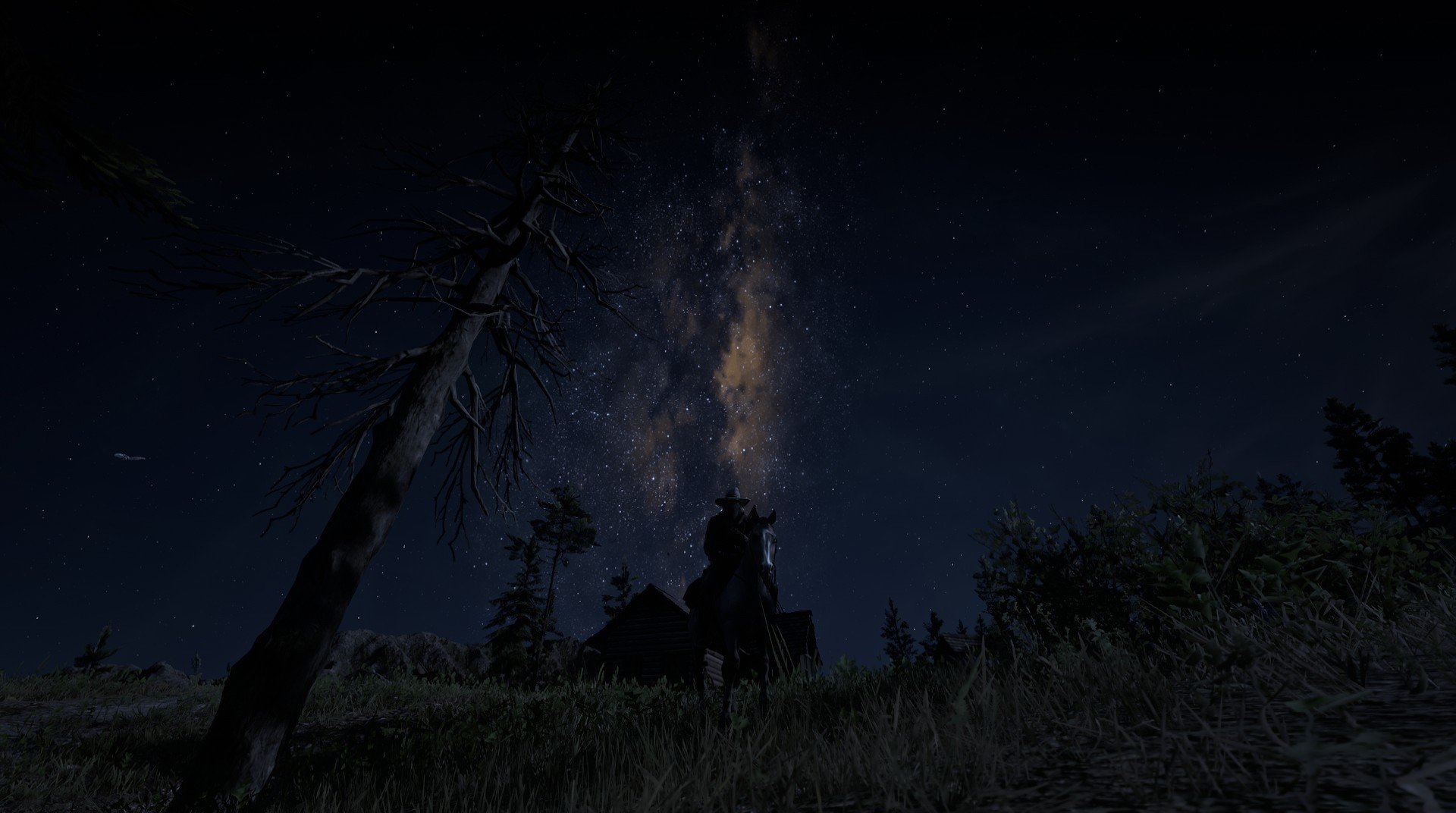 开云官方-巴西举办篮球主题展览，巴西篮协