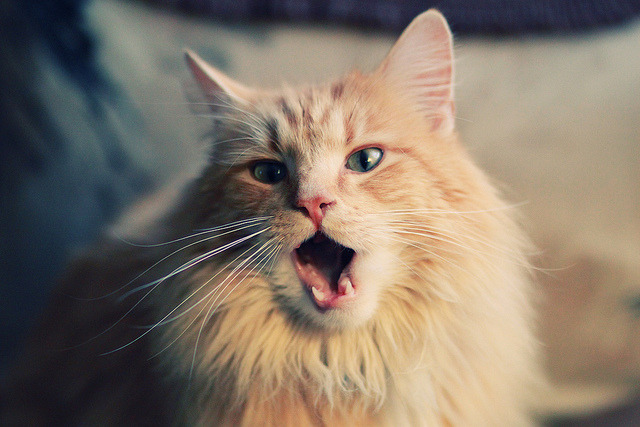 法国锋线三叉戟迷失在小组赛，法国前场三叉戟