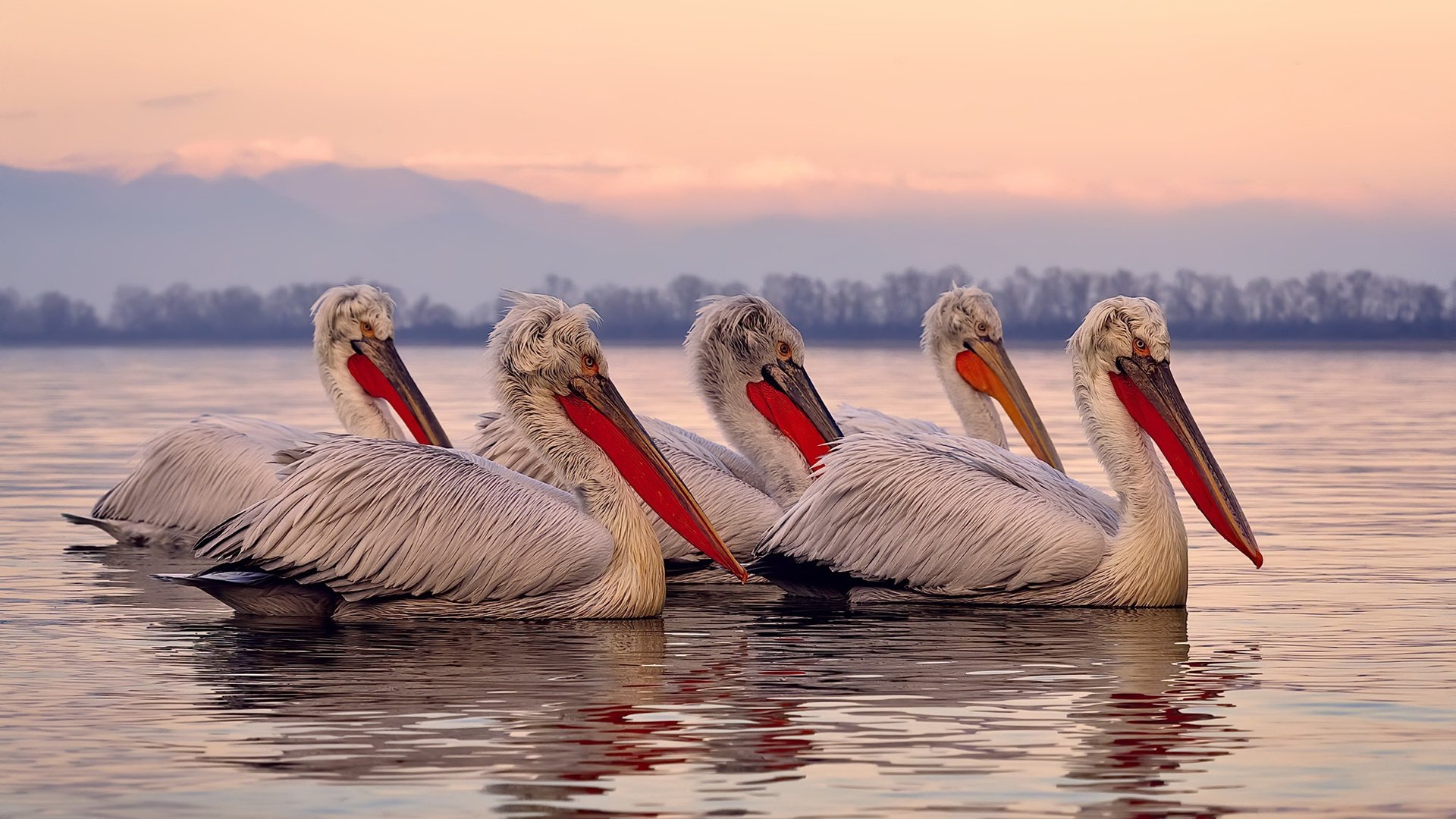 开云·体育官网-电子竞技首次成为亚运会正式比赛项目，电子竞技亚运会比赛视频