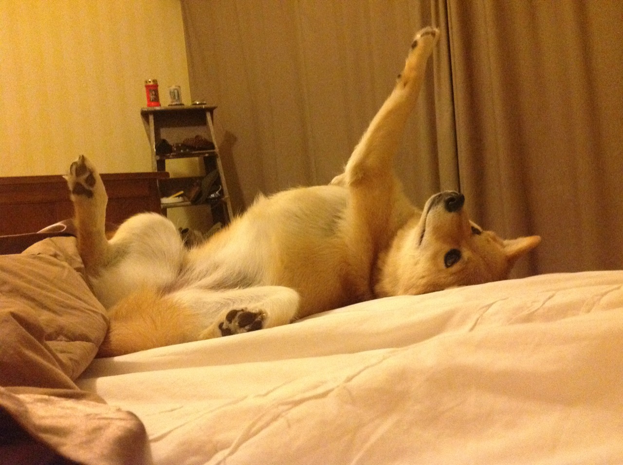 影响力最大俱乐部:全球粉丝追随榜单,全球粉丝排名