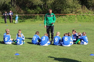 开云网站-德甲球队构建战术模拟平台提升临场应变能力，德甲模式