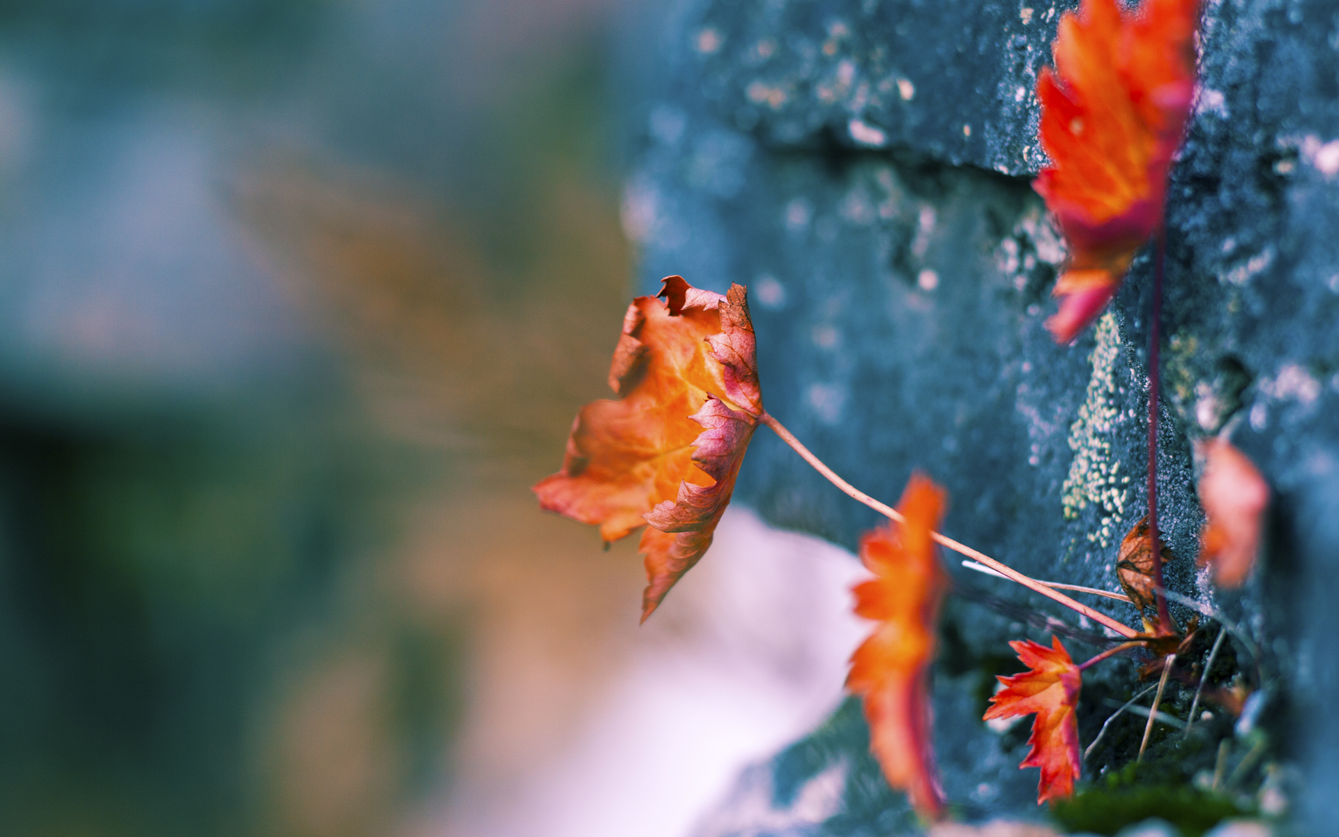 羽毛球比赛强强对话引爆关注，羽毛球比赛对战表