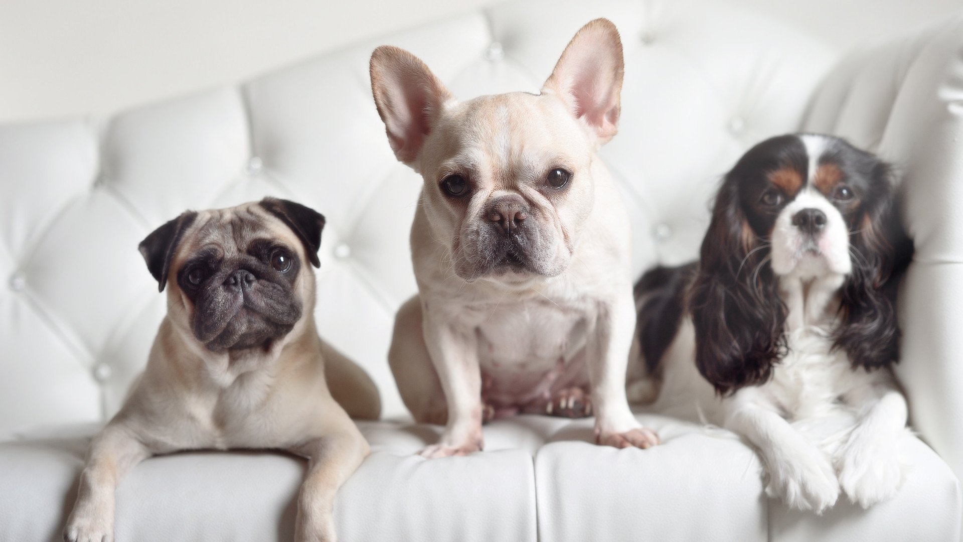 kaiyun体育app-中超夏训重点围绕防守转进提升转换效率，中超防守最好球队