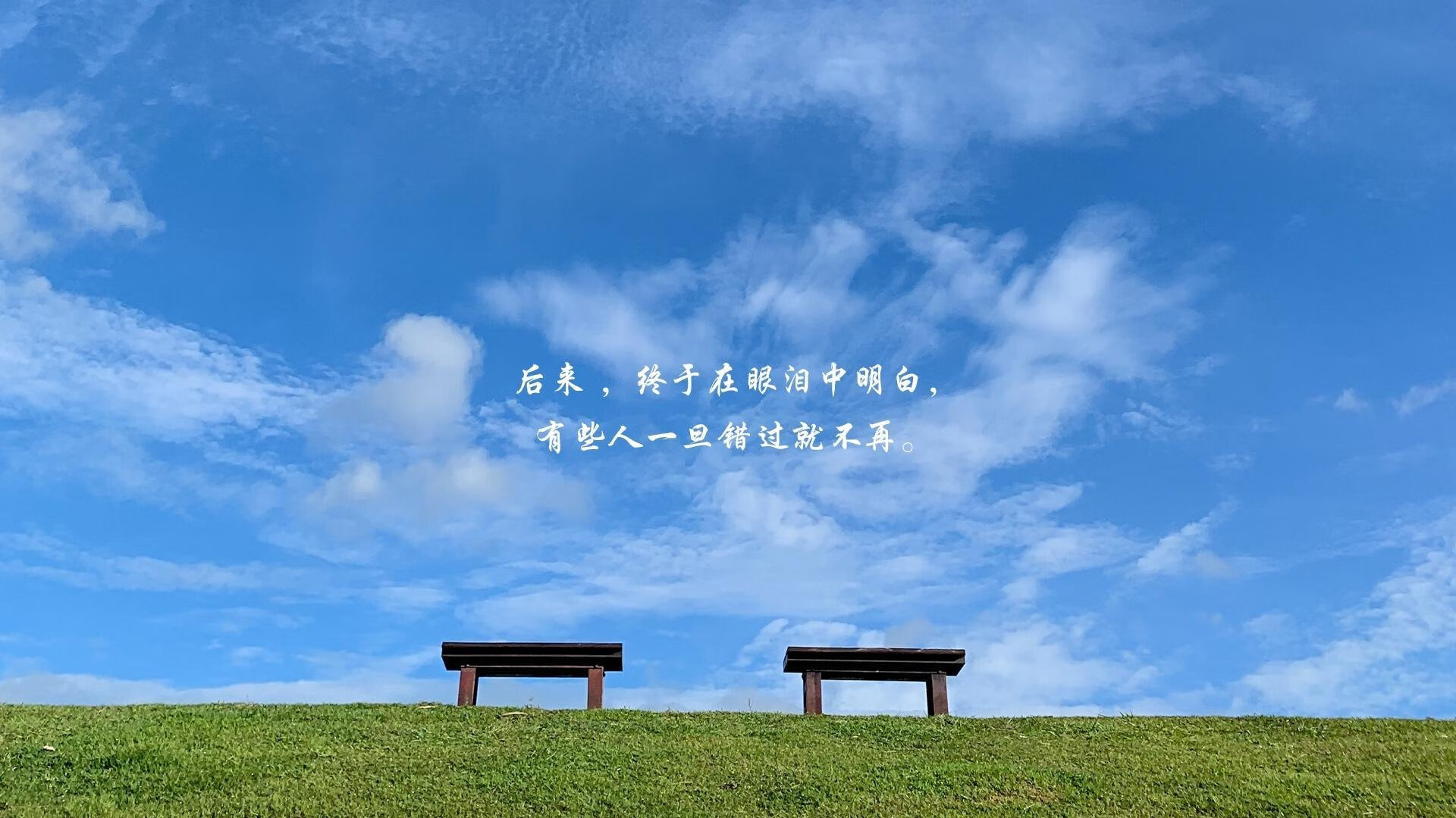 体育新闻中心比赛争议讨论,最新体育比赛新闻稿