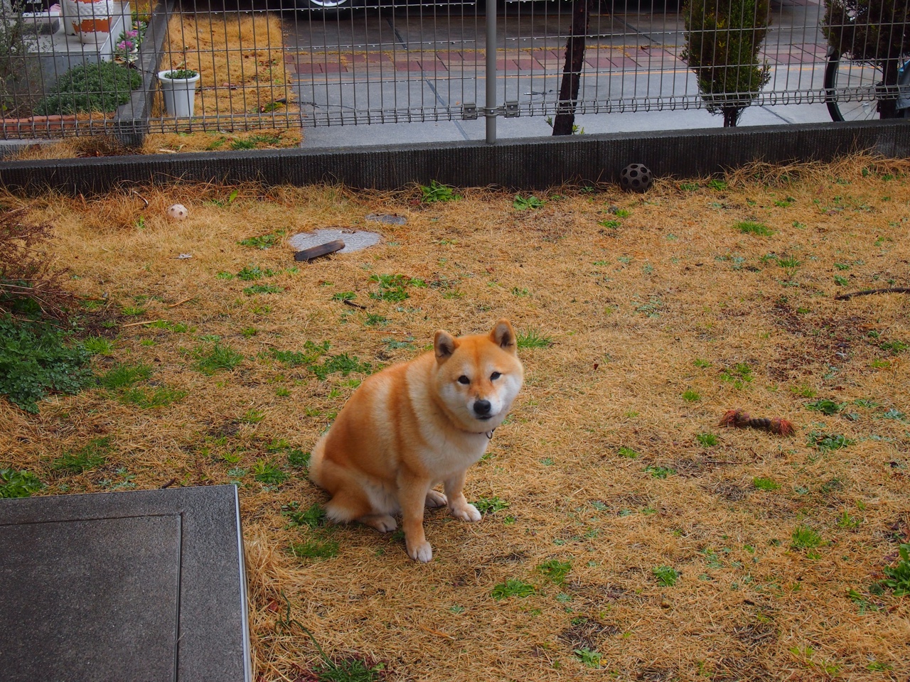 短距离王者之争 覃海洋沉着应战，覃海洋游泳运动员资料