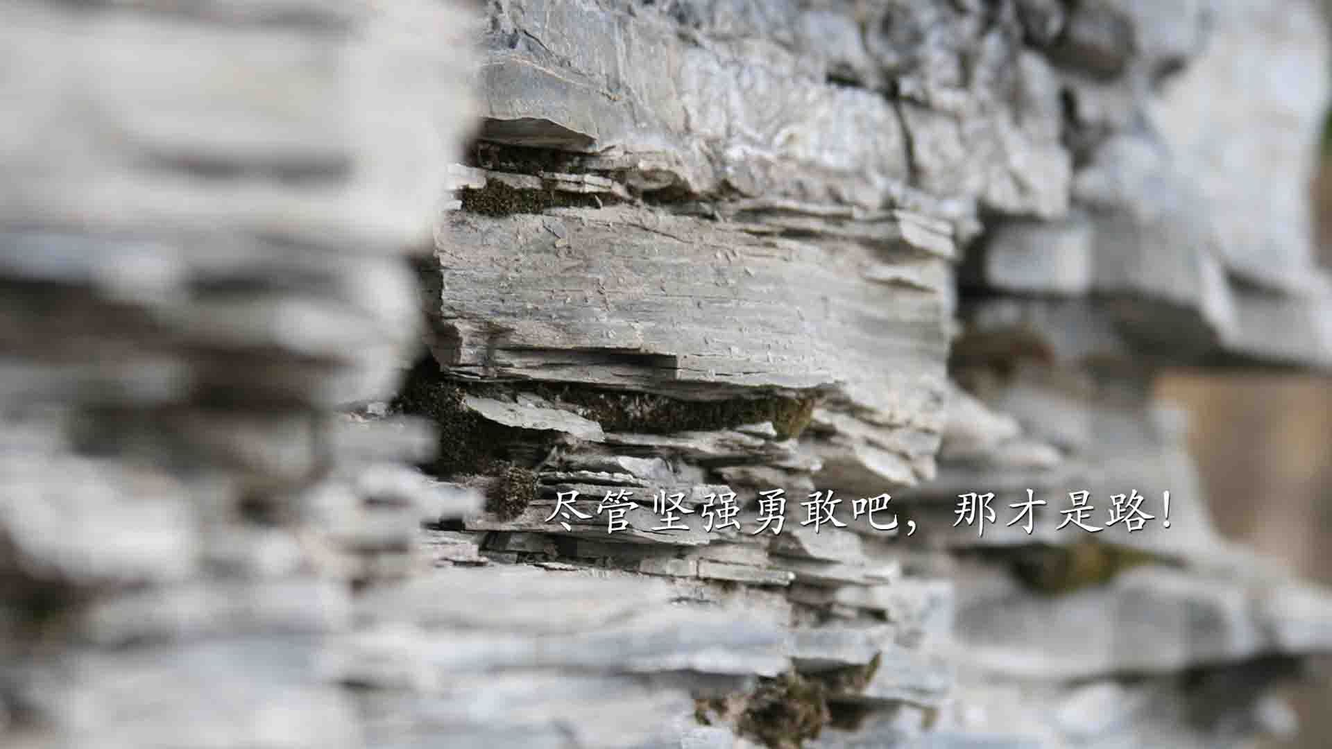 KAIYUN 中国大陆-美洲杯明星表现：突破、助攻，精彩不停！，美洲杯巨星