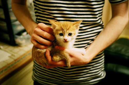 跳水初赛中立代表队A年轻选手脱颖而出,跳水中国队名单